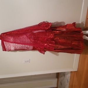 Belly dancer skirt and scarf